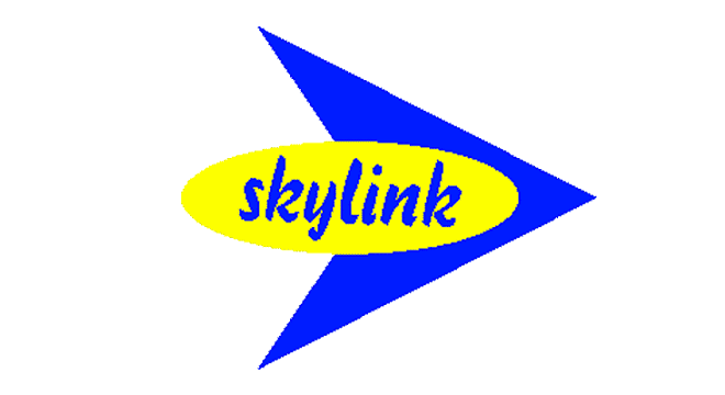 Skylink Services logo